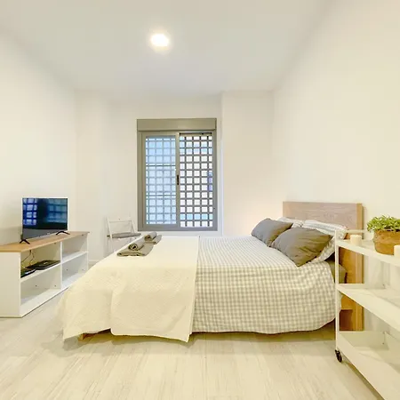 Estudio En Centro * Malaga