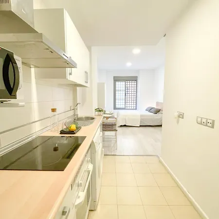 Apartment Estudio En Centro