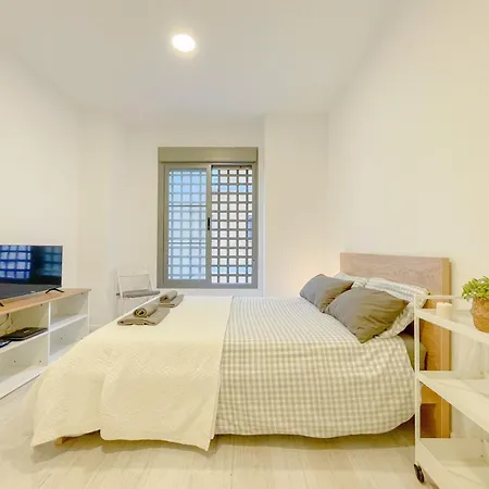 Estudio En Centro Apartment